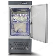 植保生化培养箱LRH-250制冷加热250升试验箱