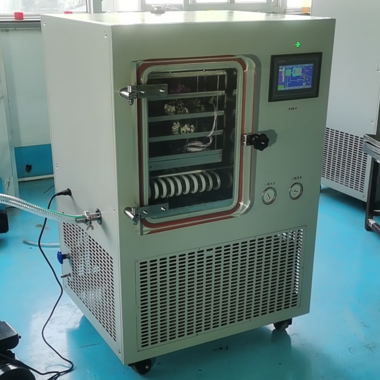 <strong><strong><strong><strong><strong><strong>LGJ-30F普通型硅油加热冷冻干燥机</strong></strong></strong></strong></strong></strong>