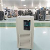 5L低温冷却循环机 DLSB-5/40低温循环泵